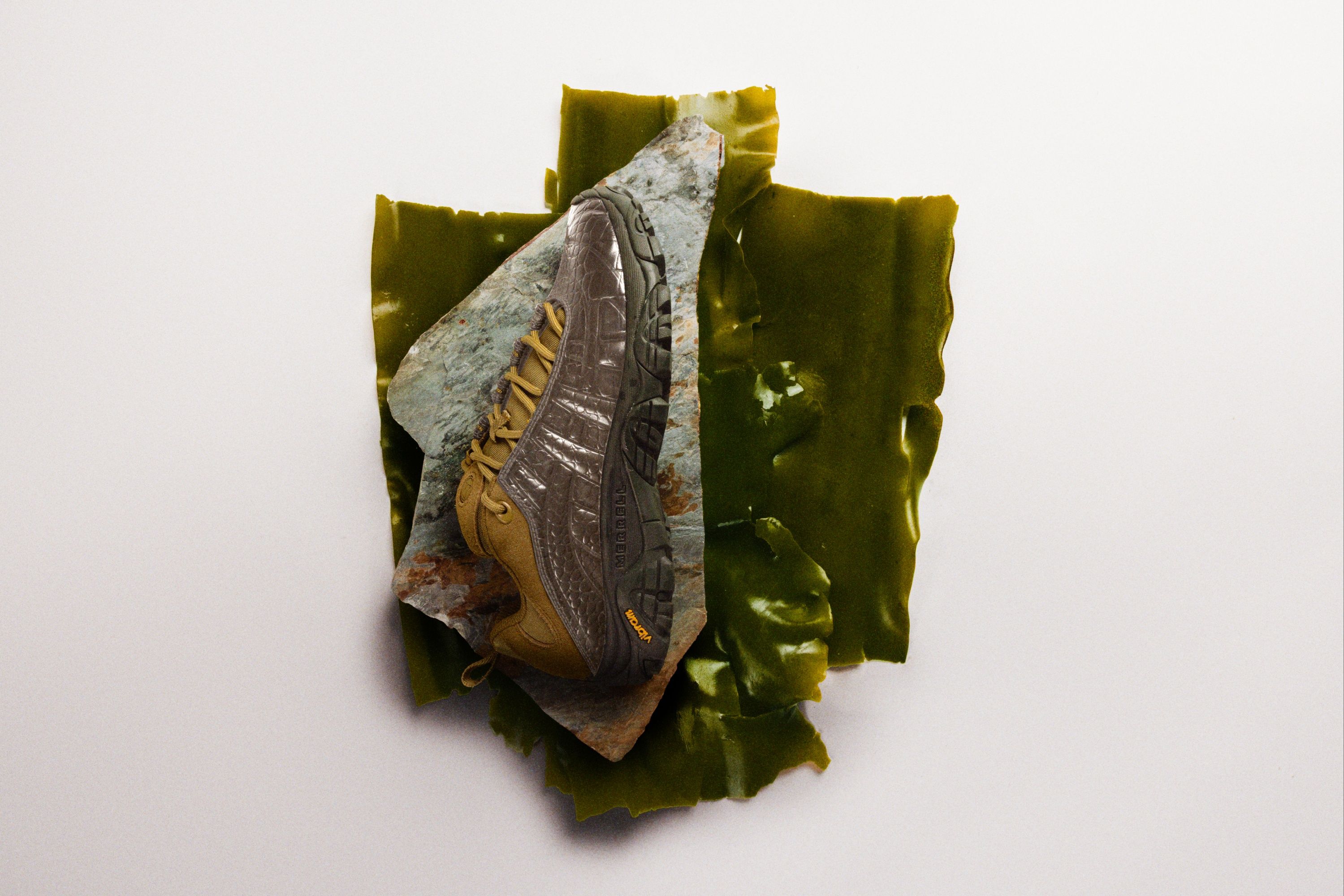 Merrell 1TRL Moab 2 Remix RPT shoe in Sugar Kelp resting on a rock with seaweed